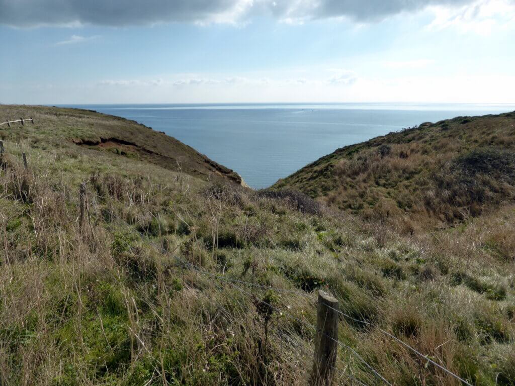 View of